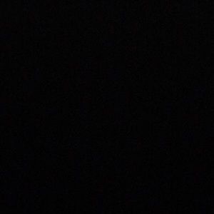 Meet your Posher, Izzie